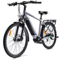 e-Bike MS ENERGY eBike c101
