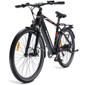 e-Bike MS ENERGY eBike t10